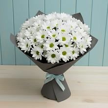 Букет цветов из:  Хризантемы в Ирбите