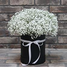 Цветочная композиция из Гипсофила в шляпной коробке в Ирбите